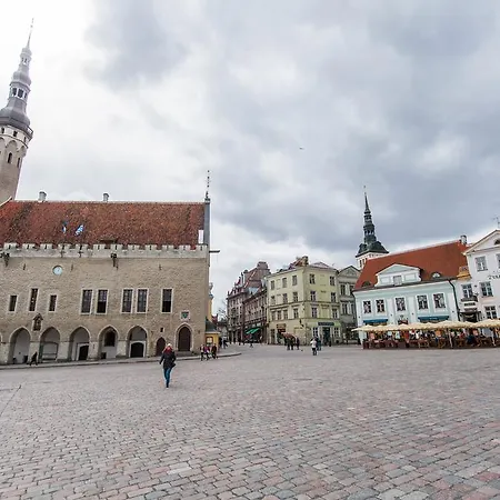 Delta - Town Hall * Tallinn